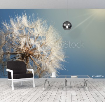 Picture of big dandelion on a blue background